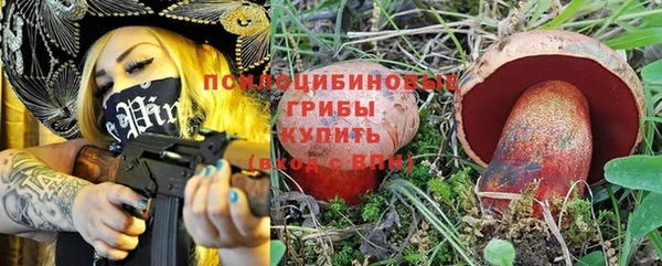 не бодяженный Алексин