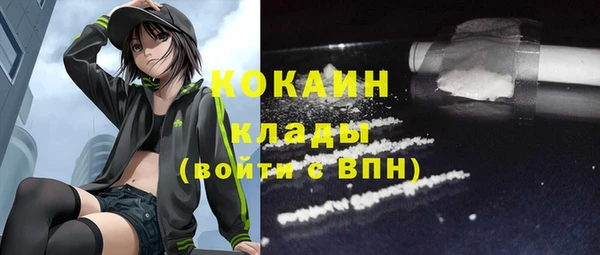 не бодяженный Алексин