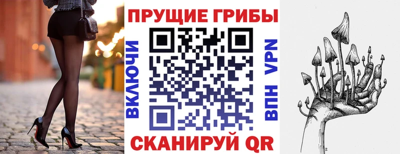 Псилоцибиновые грибы GOLDEN TEACHER  дарнет шоп  kraken рабочий сайт  Алексеевка 